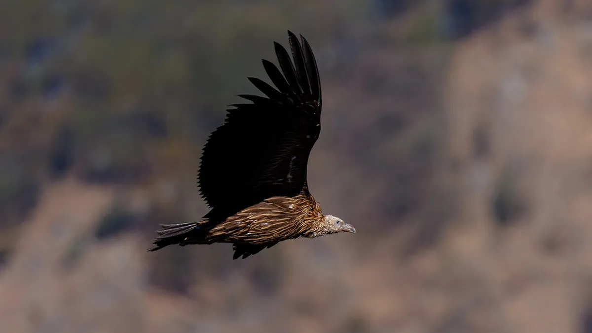 10 Unmissable Paris Landmarks For Your Bucket List: 2026 Guide