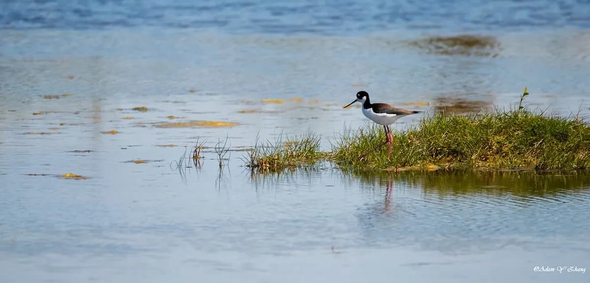 10-Part 3-Day Edinburgh Itinerary: Old Town History and New Town Culture