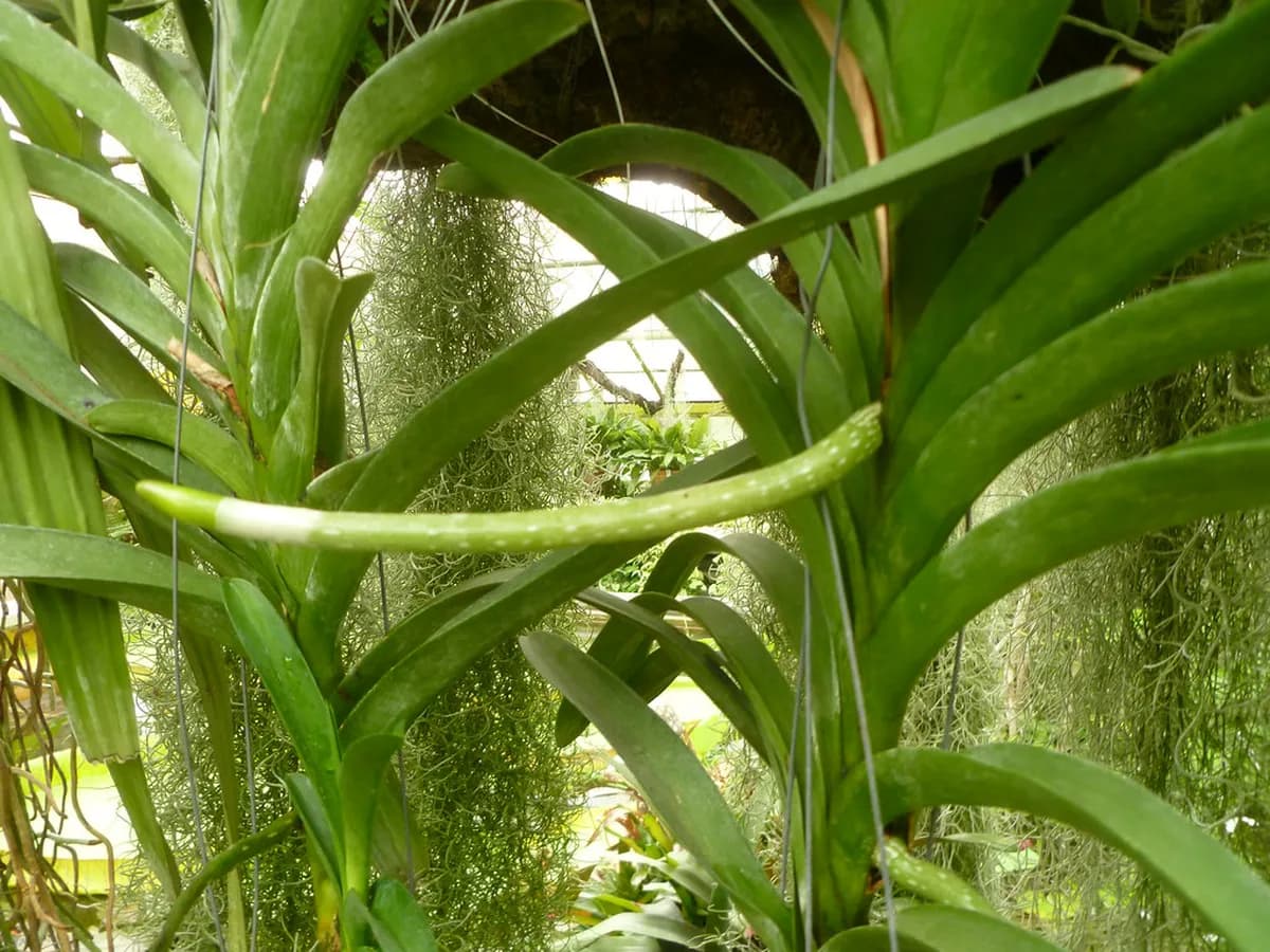 3-Day Kraków Itinerary for First-Time Visitors: The Perfect Guide