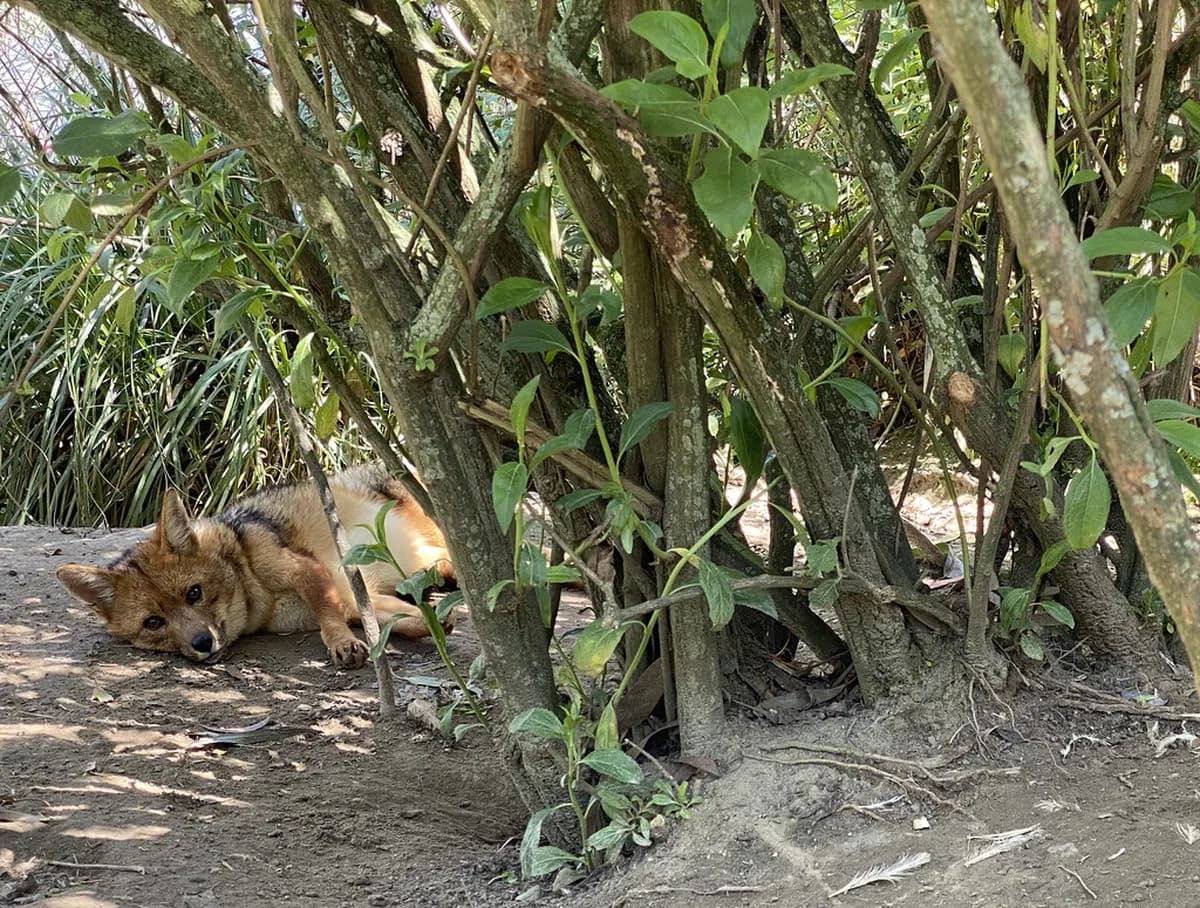 3 Days in Athens Itinerary: 10 Essential Steps for First-Time Visitors