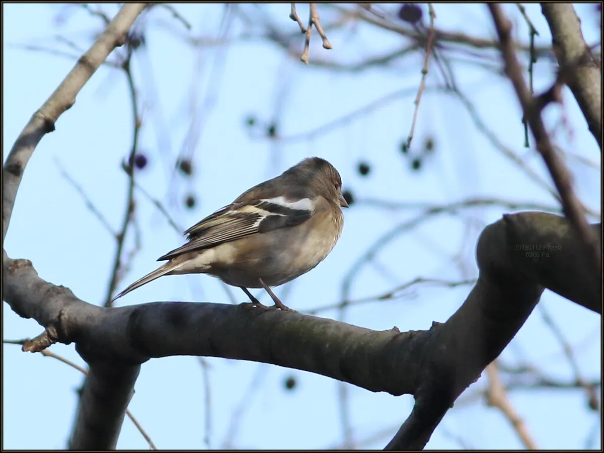 3 Days In Dubrovnik Itinerary: The Ultimate Travel Guide