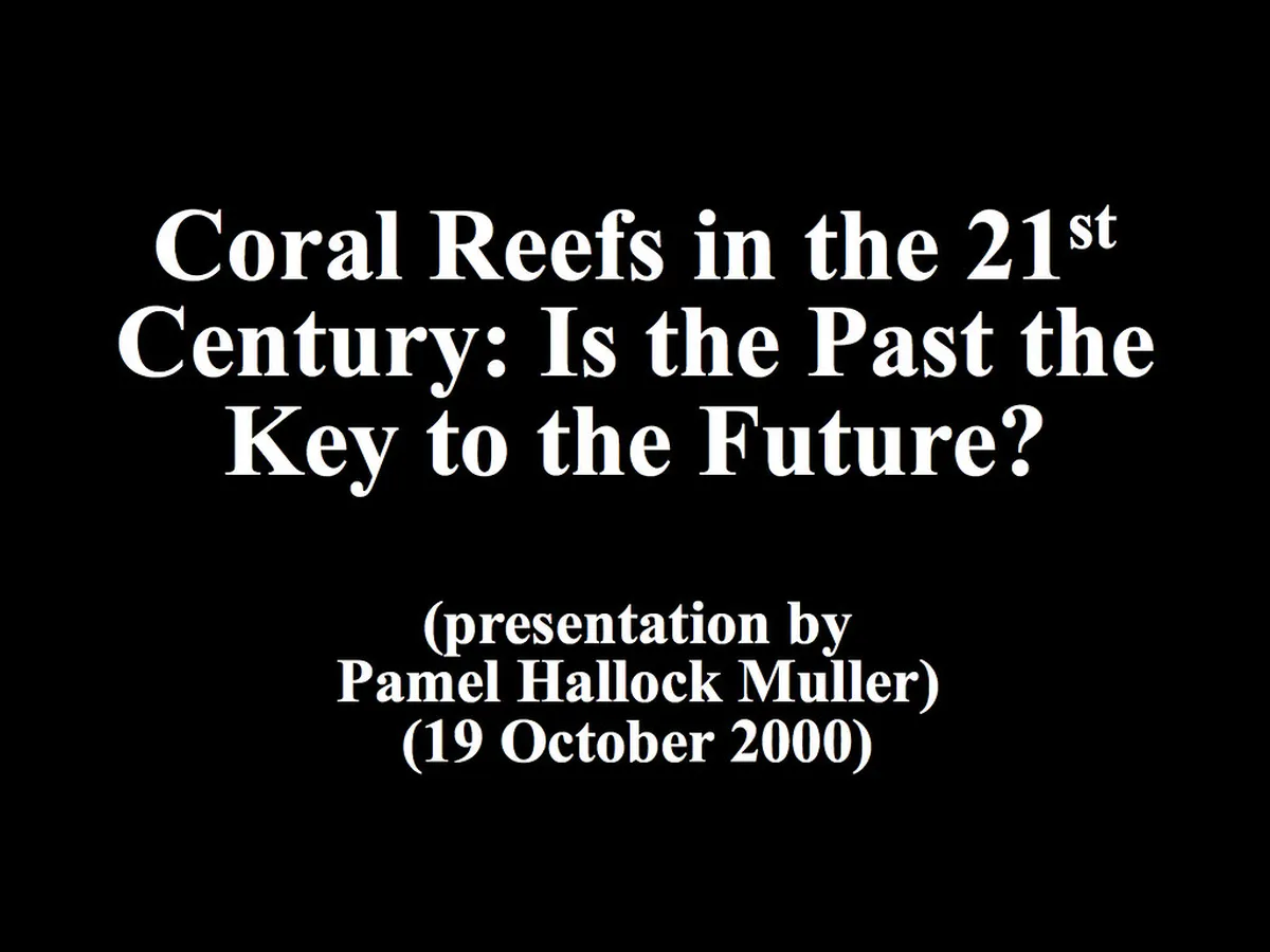 10 Best Things to Do in St Petersburg During White Nights: 2026 Guide