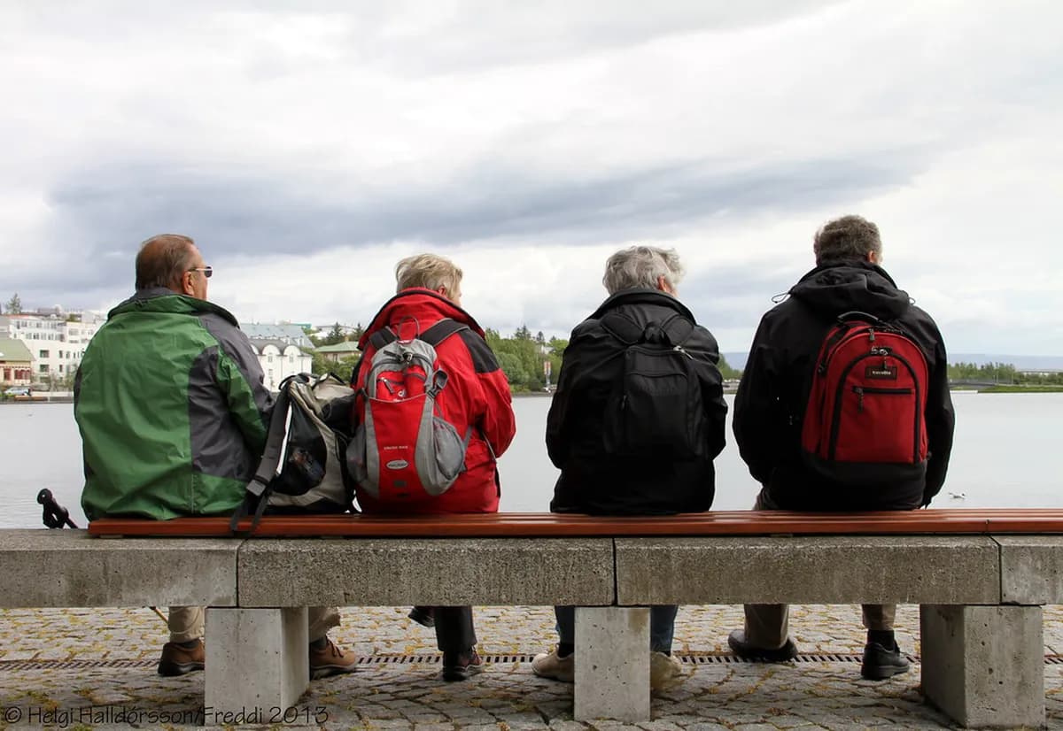 8 Best Tips for Whale Watching Tours from Reykjavik Old Harbor