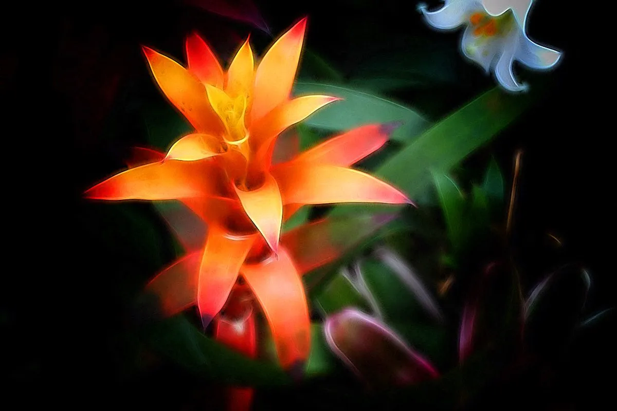 Hidden Gems and Unique Attractions in Hamburg: Local Guide