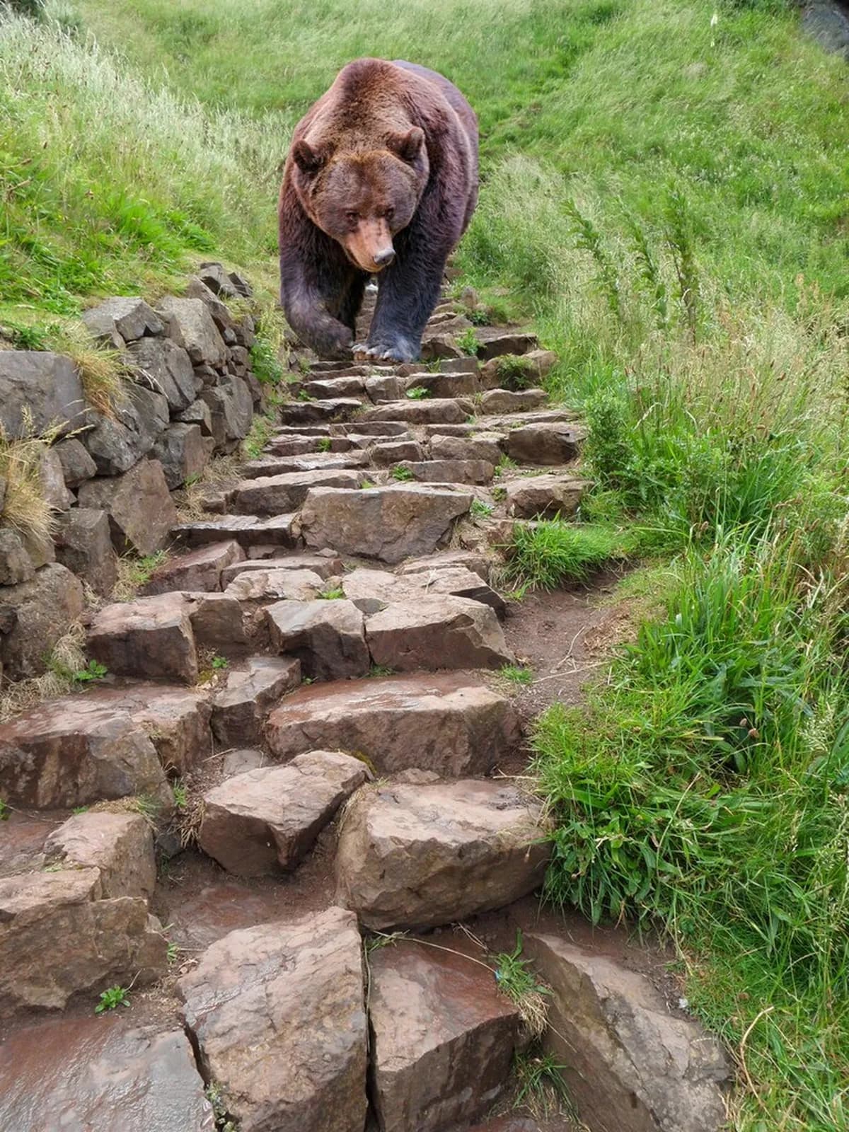 How to Hike Arthur's Seat: Green Route vs Summit Scramble Guide