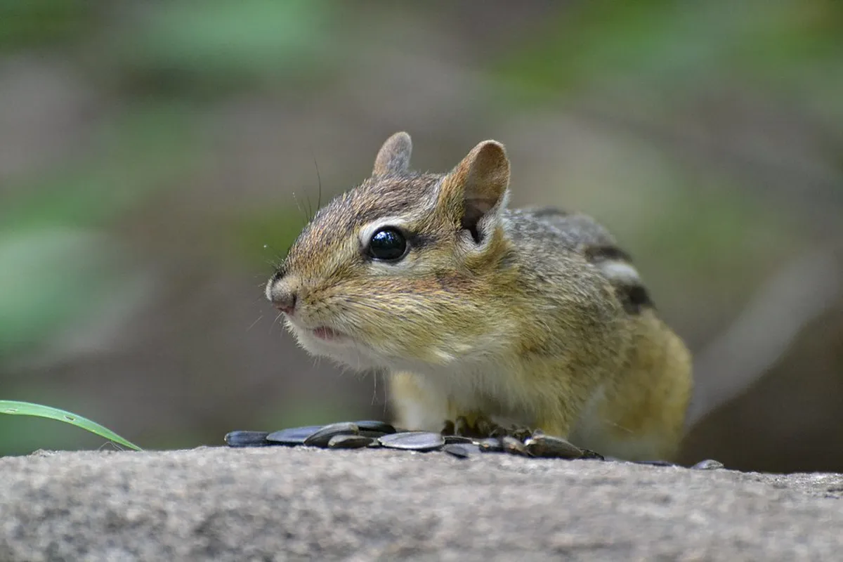 Visit Laugardalslaug and Reykjavik Local Pools Guide