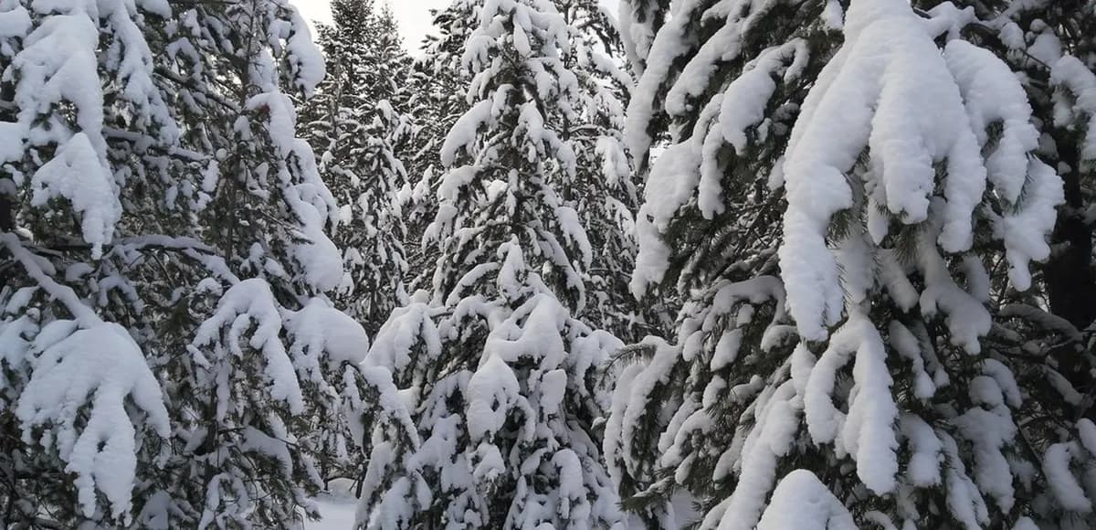 Madrid Events Calendar 2026: Festivals And Seasonal Attractions