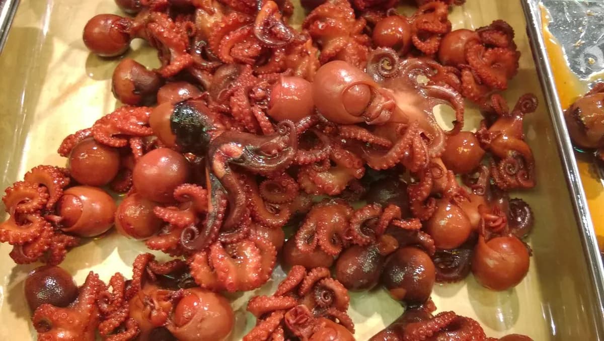 Nishiki Market Kyoto Food Culture Sightseeing Guide