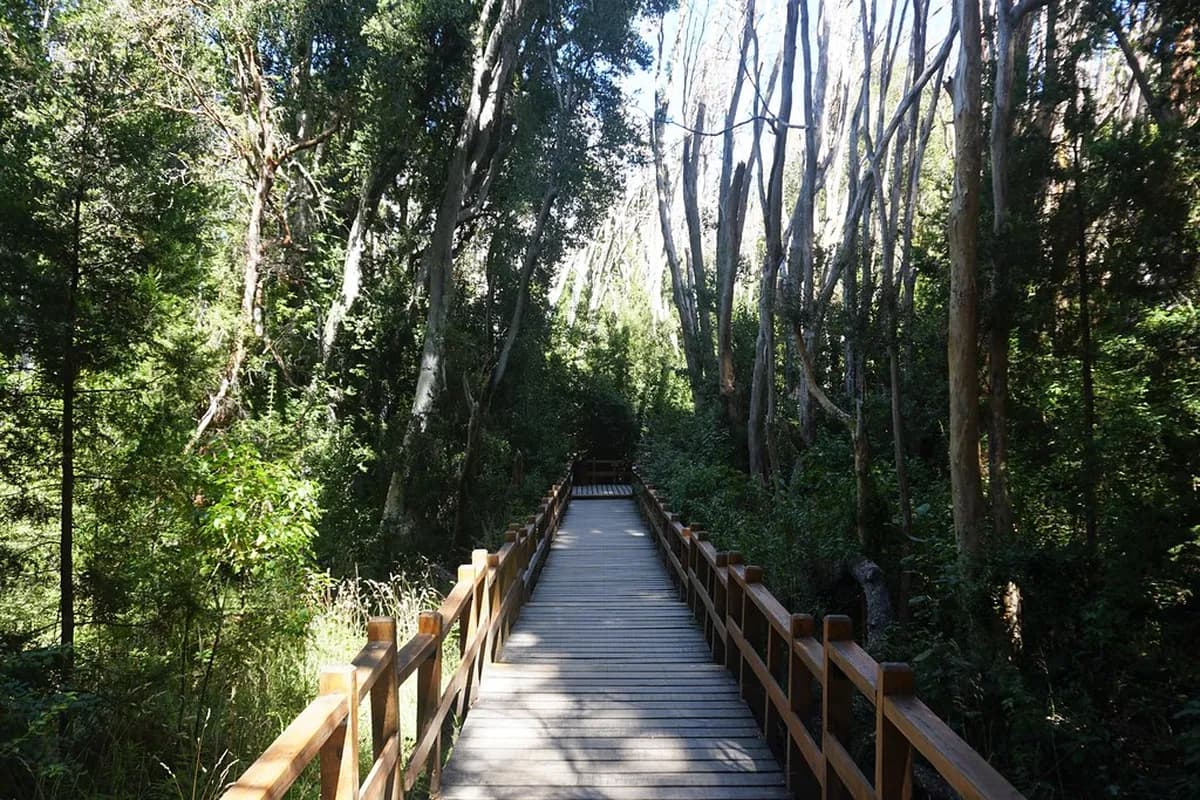 One Day in Porto Itinerary: 12 Best Things to Do in Ribeira