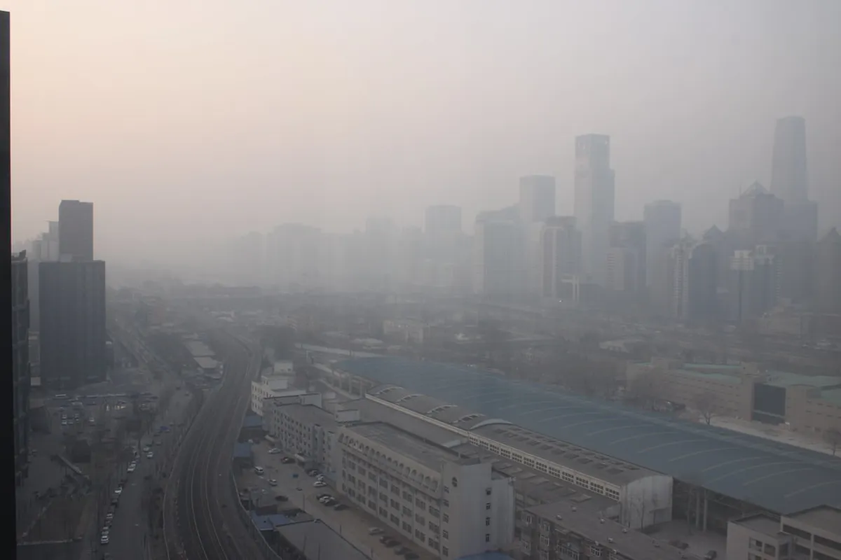 Best Street Food and Communal Dining in Copenhagen